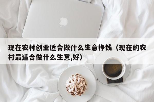 现在农村创业适合做什么生意挣钱（现在的农村最适合做什么生意,好）